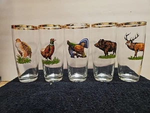 5 Wild Animals Very Colorful Gold Rimmed Drink Glasses Pre-owned - Picture 1 of 12