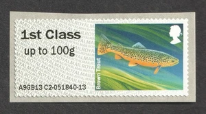 GB 2013 1st Class Brown Trout Fish. Freshwater Life Post & Go UM Stamp - Picture 1 of 1