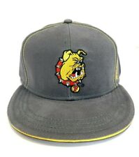 Signatures Ferris State Bulldogs NCAA Embroidered Gray  Snapback Game Hat