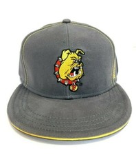 Signatures Ferris State Bulldogs NCAA Embroidered Gray  Snapback Game Hat
