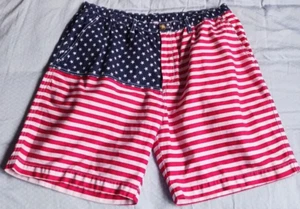 Chubbies American Flag Shorts USA for Men Red/White/ Blue size Small - Picture 1 of 10