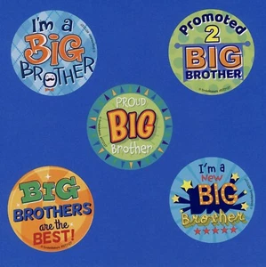 10 Big Brother Large Stickers - Party Favors - Rewards - Imagen 1 de 1