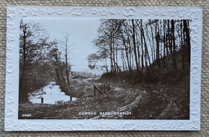 Chorley Common Bank, Lancashire, A.J Evans Real Photo Postcard - Picture 1 of 2