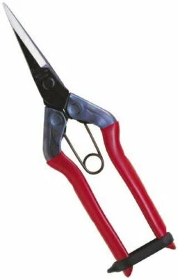CHIKAMASA T-550 Bud Trimming Scissors NEW from Japan - Image 1 of 4
