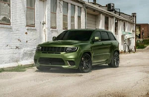 Small Trackhawk Poster (Brand New) - Picture 1 of 2