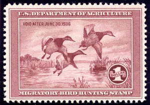 US RW2 $1 Hunting Permit 1935 Canvasbacks Taking to Flight F-VF unused OG H - Picture 1 of 2