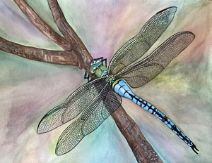 Dragonfly Painting by Jill Stradley (print only) - Picture 1 of 2
