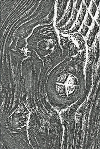 Plantilla de estampado Sizzix 3D Woodgrain de Tim Holtz 10,8x15,2 cm plantilla troquelado - Imagen 1 de 6