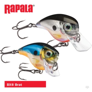 Señuelos asados ​​Rapala BX - lucio perca lucio trucha rudd salmón lubina pesca marina - Imagen 1 de 25