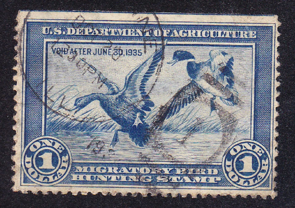 US Scott RW1 antiguo $1 pájaro migratorio "pato" sello de caza U/F-VF CV $175 Foto 1 de 1