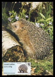 JERSEY 2015 Maximum Card ATM Post&Go - Protected Species Hedgehog Hérisson Erizo - Picture 1 of 1