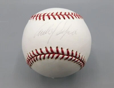 Béisbol firmado autografiado por Carlos Delgado en ROMLB ~ Azulejos Foto 1 de 2