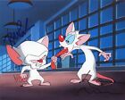ROB PAULSEN & MAURICE LaMARCHE Auth.Hand-Signed "PINKY & THE BRAIN" 8x10 Photo B
