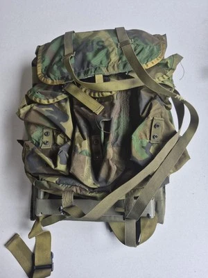 Mochila Radio Paquete Alicia Camuflada Bosque Militar de Estados Unidos Correas Medianas Marco Como Nuevo Foto 1 de 4