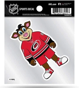Carolina Hurricanes 4x4 Inch Die Cut Decal Sticker, Mascot Logo, Clear Backing - Picture 1 of 1