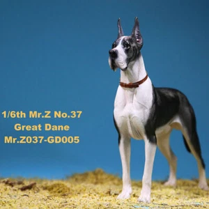 Mr.Z 1/6 Deutsche Dogge Hund Haustier Figur Tier Deko Sammler Modell Spielzeug Geschenk - Bild 1 von 37
