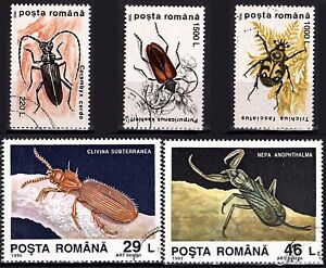 5 timbres ROUMANIE POSTA ROMANA oblitérés INSECTES COLEOPTERES