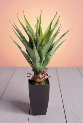 Best Artificial 2ft 70cm Aloe Vera Plant Tree Office Home Conservatory Outdoor - Image 1 of 3