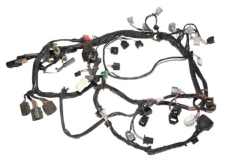2005 2006 KAWASAKI 26031-0377 ZX6R MAIN HARNESS ENGINE WIRE WIRING PLUGS Foto 1 de 1