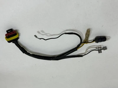 Ducati 748 916 996 998 Headlight Headlamp Wiring Harness Loom Head Light Bulb - Image 1 of 4