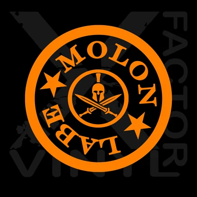 Molon Labe Come & Take Them 2nd Amendment Gun Owner Rights Vinyl Decal  FREE SHI - Image 1 of 4