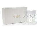 Set Of 4 Cabo Cactus Shot Glasses   Frosted In Gift Box