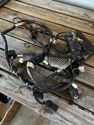 Honda Ruckus OEM Complete Wiring Harness 32100-GEZ-6100 and ECM/ECU - Image 1 of 4