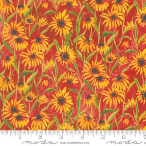 Floribunda Spice 39805 14 - Picture 1 of 2