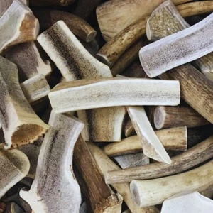 Bulk - Split Elk Antler Dog Chews - Sold By The Pound - Premium A Grade - Picture 1 of 5