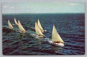 Postcard Greetings from Cape Cod Massachusetts Unposted Sailboats - Picture 1 of 2