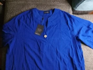 Funlingo Womens Blue Short Sleeve V Neck Chiffon Blouse Plus Size 2XL - Picture 1 of 5