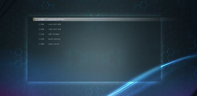 Linux Mint & Ubuntu  multiboot  32GB USB Flash Drive with individual persistence - Image 1 of 4