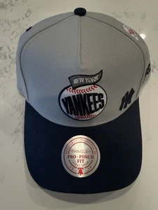 New York Yankees Hat Gray Pro Pinch Mitchell & Ness Topps Snapback W/ Pin OSFM - Picture 1 of 3