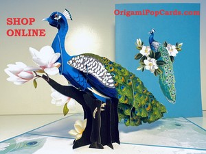Origami Pop Cards Asian Oriental Blue Green Peacock with White Magnolia Flowers