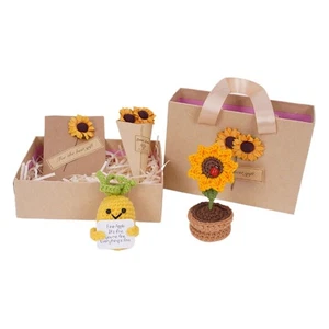 Mini Plush Knitted Pineapple with Sunflower Pot & Card Birthday Gift - Picture 1 of 6