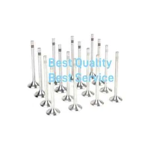 NEW Exhaust&Intake Valves Fit For VW Golf Jetta Pasast Audi Q3 Q5 TT - Picture 1 of 8