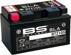 SLA Factory Activated AGM Maintenance Free Battery BS Battery 300636-1