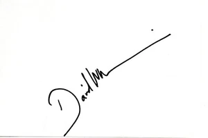David Walliams Dr Who Actor Comedian Signed 8x5 Album Page Autographed - Picture 1 of 1