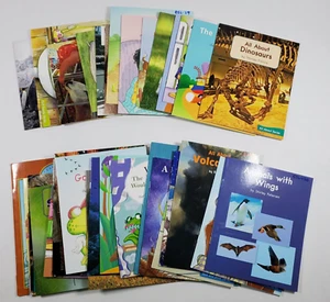 Lot of 33 Fountas & Pinnell LLI Blue System Levels B-N Leveled Literacy Readers - Picture 1 of 8