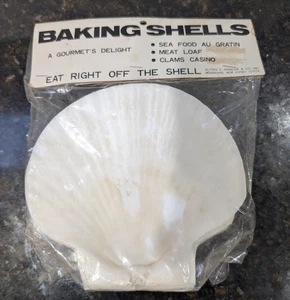 Vintage Genuine Scallop Baking Shells Large 5" Set of 4 NEW - Picture 1 of 3