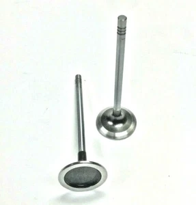 Mini R56 N12, N16 Intake Valve (Each) 11347533884 - Picture 1 of 6