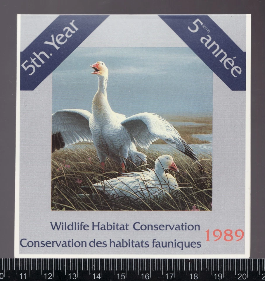 1989 #FWH5 Canada Federal Wildlife Habitat Conservation stamp MNH Cv$25 - Image 1 of 1