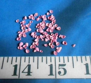 ~ Lilac Shells ~100 Dyed Lilac-Pink ~Vintage~ Shellcraft ~ Sailor's Valentines ~ - Picture 1 of 5