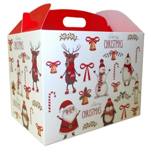 10 x SANTA SNOWMAN REINDEER CHRISTMAS LARGE XMAS GABLE GIFT BOXES - 24x18x16cm - Picture 1 of 3