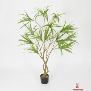 Spider Plant in Contemporary Black Basin | Lush Green Home & Office Decor - Picture 1 of 8