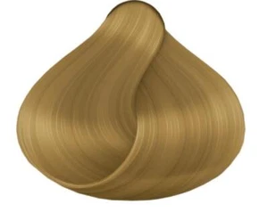 6G Butternut - Picture 1 of 1