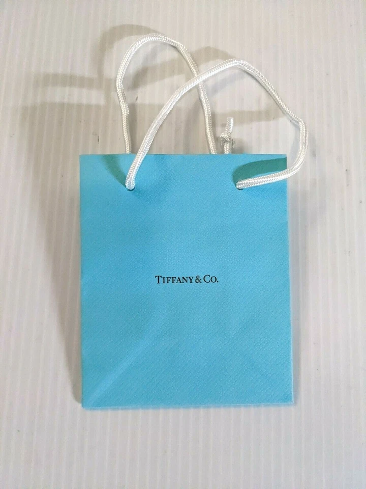Authentic Tiffany Aqua Paper Shopping Bag - multiple sizes available - Image 1 of 1