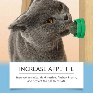 Cat Lick Ball Catnip Roller Ball Rotatable Catnip Ball Toy Multi-purpose durable - Picture 1 of 11