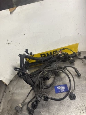 BMW E46 330I 325I 320I M54 2005 bloque de motor cableado telar arnés Foto 1 de 4
