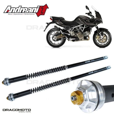 APRILIA Mana 850 2009-2012 cartuccia ANDREANI 105/A05E MISANO EVO Foto 1 de 4